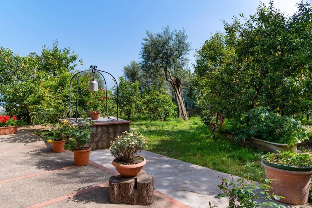 Sorrentovibes - Sea View Rooftop Apartment With Jacuzzi & Garden Bagian luar foto