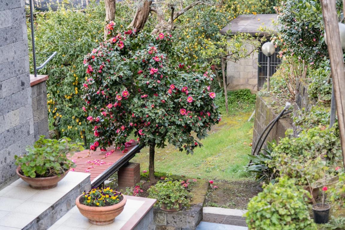 Sorrentovibes - Sea View Rooftop Apartment With Jacuzzi & Garden Bagian luar foto