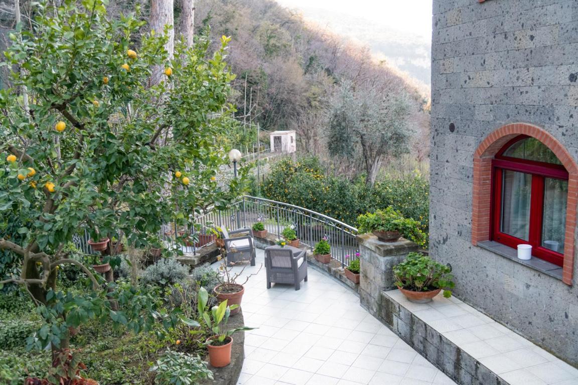 Sorrentovibes - Sea View Rooftop Apartment With Jacuzzi & Garden Bagian luar foto